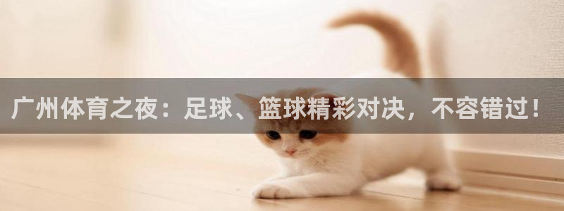 咪咕体育直播在线观看：广州体育之夜：足球、篮球精彩对决，不容错过！