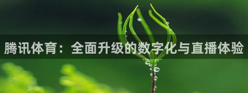 下载咪咕体育直播视频：腾讯体育：全面升级的数字化与直播体验
