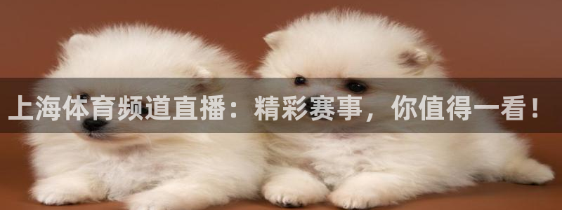 咪咕视频体育直播nba：上海体育频道直播：精彩赛事，你值得一看！