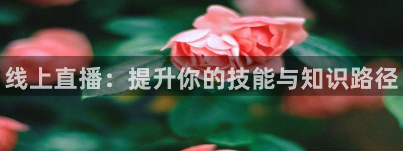 咪咕体育在线观看：线上直播：提升你的技能与知识路径